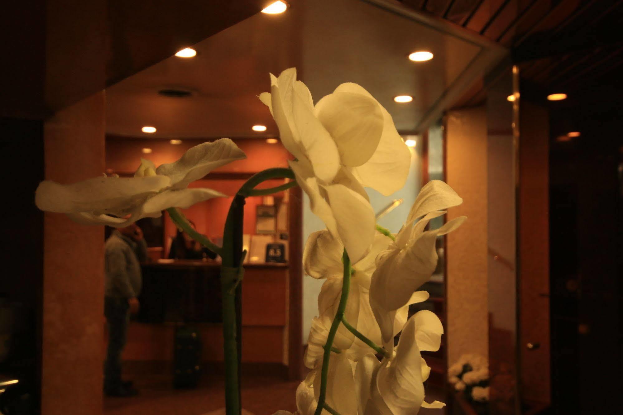Hotel Lido Milan Bagian luar foto